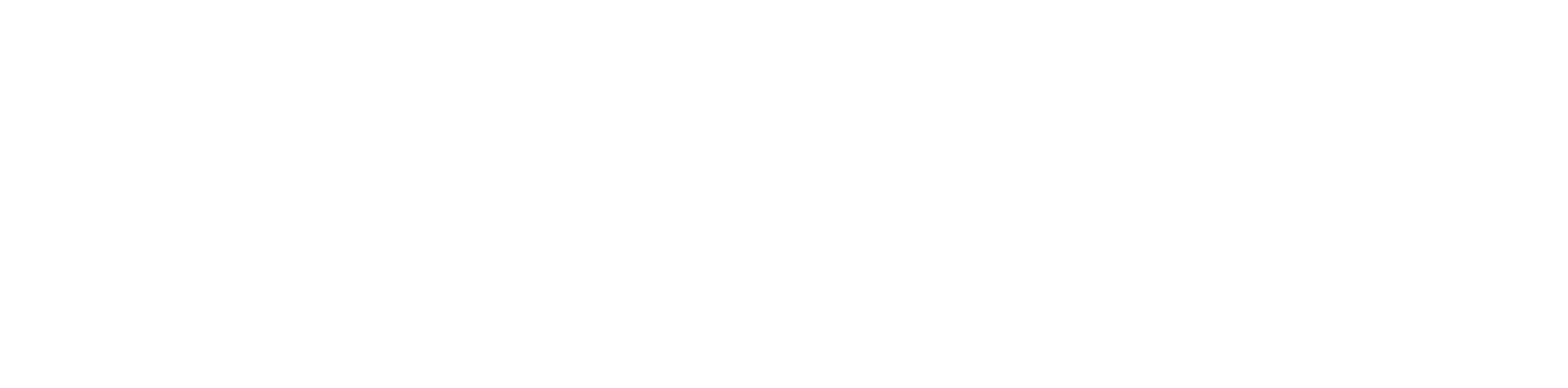 shoreline logo - lake erie branding marketing